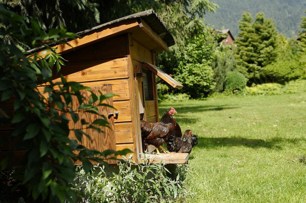Hotel Beausite Unterseen Zewnętrze zdjęcie