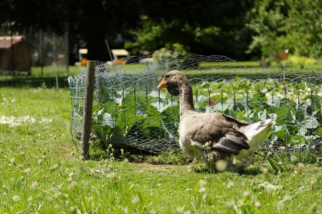 Hotel Beausite Unterseen Zewnętrze zdjęcie